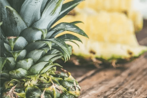 Pineapple Varieties in India, Seasons, and Economic Importance