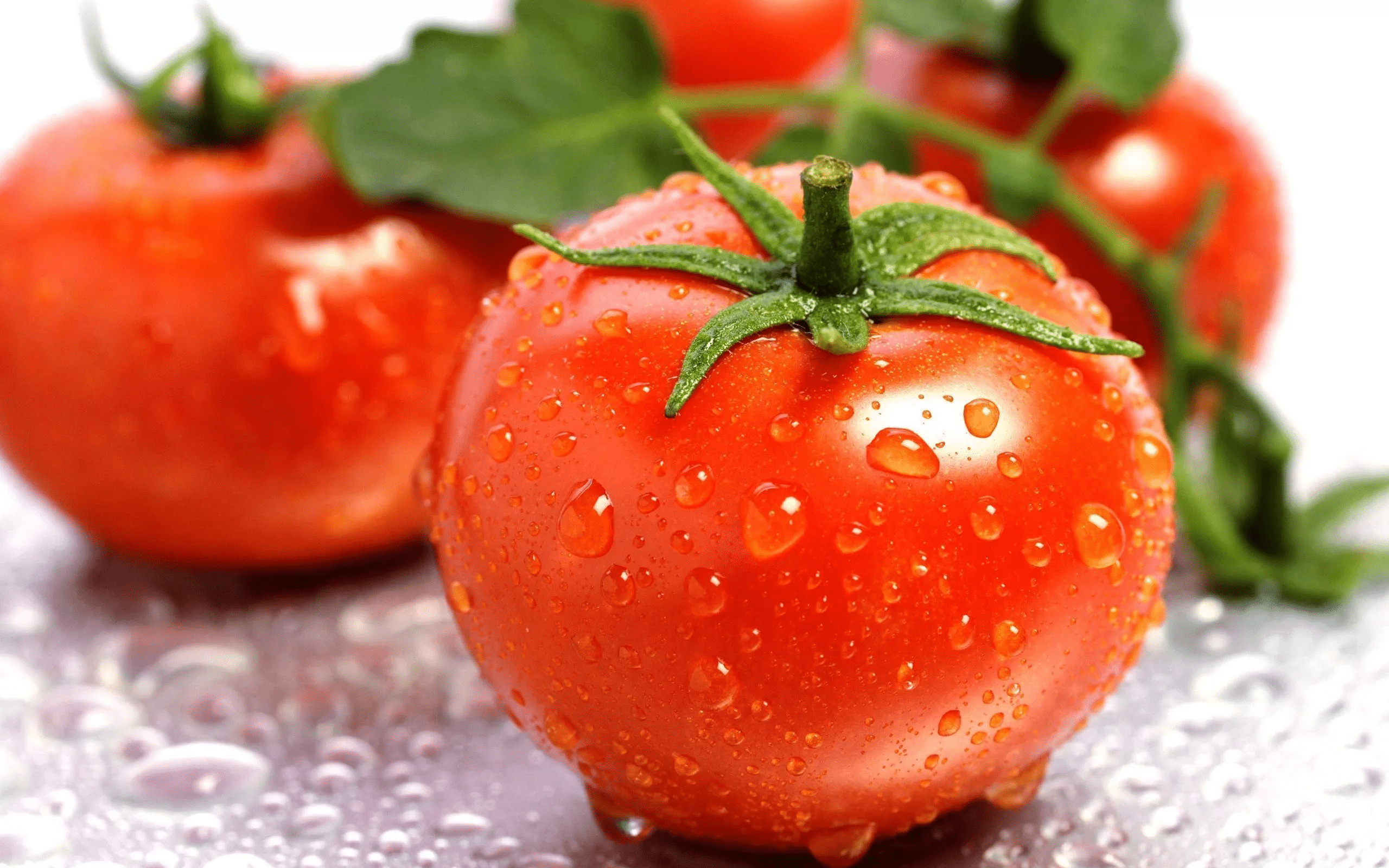 Tomato – Varieties in India, Production and season