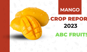 Mango crop report 2023