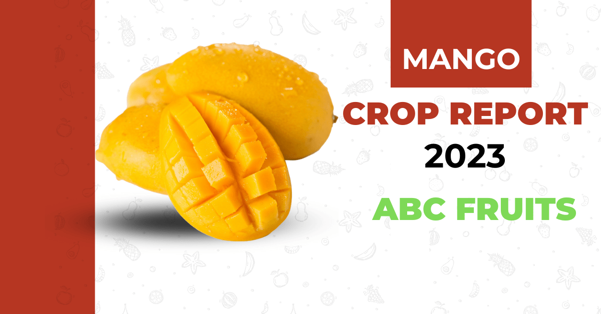 Mango crop report 2023