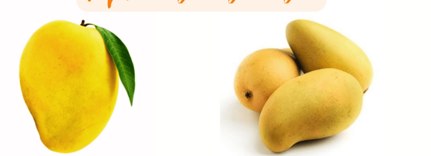 Alphonso vs Kesar mango