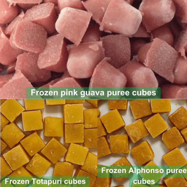 Frozen-puree-cubes