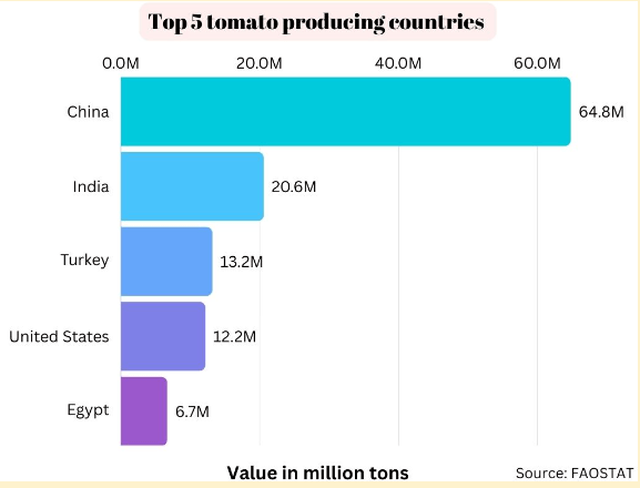 Top 5 tomato producing countries