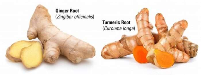 Ginger and turmeric benefits